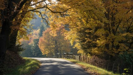 Obraz premium Country road surrounded by colorful autumn leaves in rural setting, seasonal transition