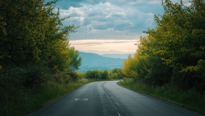 Obraz premium Asphalt street bordered by lush trees, suitable for traffic safety signage or city planning visuals, Earth Day