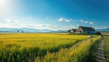 Traditional farm cottages nestled near cultivated fields beside a country road, highlighting land use and rural infrastructure