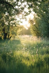 Sunlit meadow with tall green grass and small white wildflowers, framed by overhanging trees. Concept Sunlit meadow, Tall green grass, Small white wildflowers, Overhanging trees framing