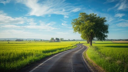 Fototapeta premium Rural scene with a small country road meandering through vibrant rice paddies under strong summer sunlight, suitable for landscape design