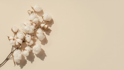 Wedding invitation mockup with dried cotton branch and white blossoms on neutral backdrop, emphasizing natural elegance