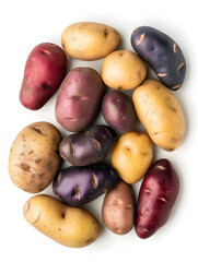 Assortment of colorful raw potatoes featuring various types and hues on a pristine white background