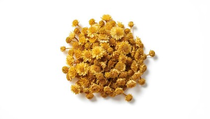 Wild chrysanthemum blossoms dried and arranged on white surface for botanical study, World Flora Day