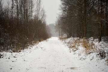 droga asfaltowa,zima 