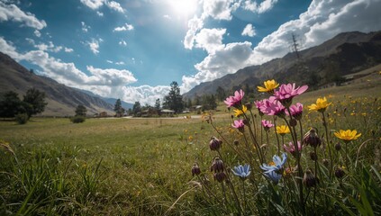 Ladakh flowers, native species in high-altitude terrain, Earth Day