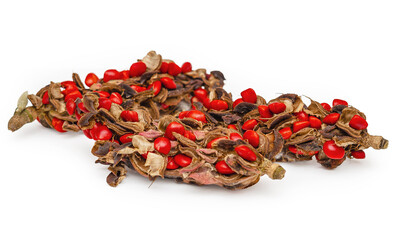 Three inflorescences of magnolia Solange with dry red seeds on white background. Exotic plants.