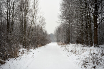 droga asfaltowa,zima 