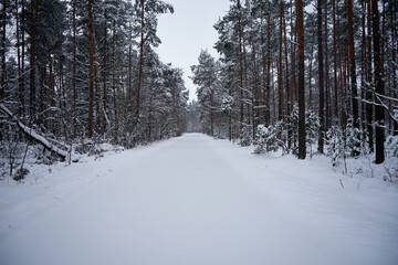 droga asfaltowa,zima 
