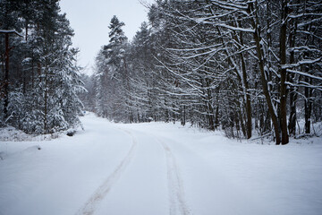 droga asfaltowa,zima 