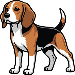 Beagle Dog Standing