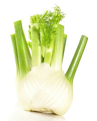 Vegetables - Fennel Bulb on white Background