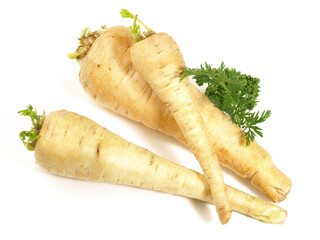 Vegetables - Fresh Parsnips on white Background