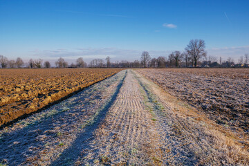 Po Valley landscape panorama winter cold frost