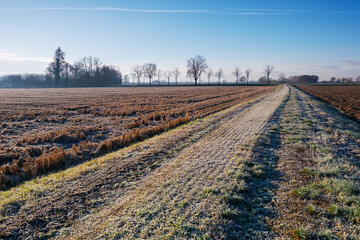 Po Valley landscape panorama winter cold frost