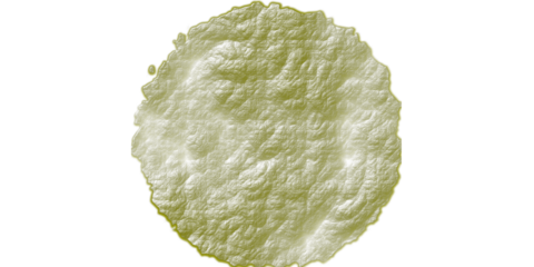 Yellow-Green Crinkled Plastic Topographic Texture, 3D Abstract Circular Relief Illustration for Background Use