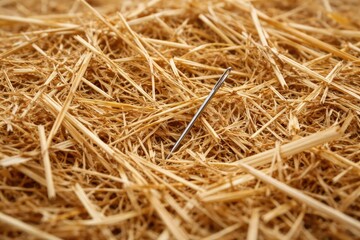 Searching for a fine needle camouflaged in a dense stack of hay