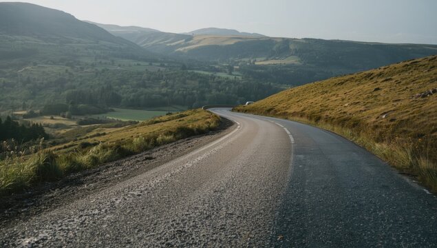 Fresh tomato on plant, highlighting organic produce for sustainable farming practices