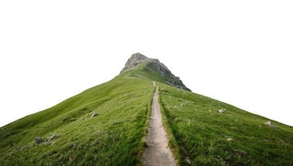 White background featuring a lone mountain trail, suitable for environmental awareness campaigns