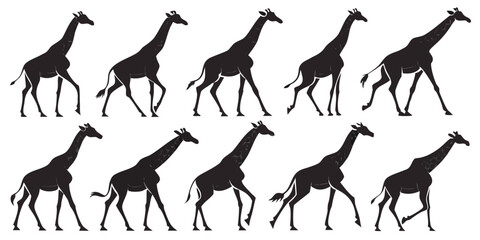 Naklejka premium Black Giraffe Silhouettes Collection Illustrating Various Walking and Standing Poses Designs