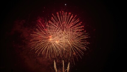 Night sky filled with colorful fireworks displays during a festive event, Independence Day