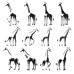 Set of vector silhouettes of giraffe animals on a white background