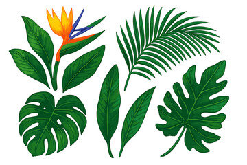 Tropical plants and flowers with bright colors in a flat layout for nature study or decoration
