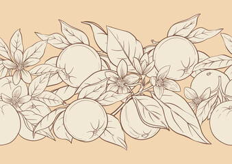 Oranges and citrus blossoms seamless coloring page botanical outline with fruit branches leaves flowers for printable kitchen food, drink textile, wallpaper designs. Classic vintage motif.