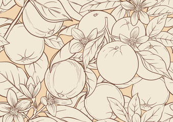 Oranges and citrus blossoms seamless coloring page botanical outline with fruit branches leaves flowers for printable kitchen food, drink textile, wallpaper designs. Classic vintage motif.