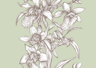 Vanilla orchid seamless coloring page. Botanical outline with hand drawn vanilla flowers branches leaves and pods. Vintage decorative motif for printable kitchen dessert sweet food textile projects.