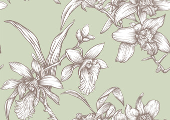 Vanilla orchid seamless coloring page. Botanical outline with hand drawn vanilla flowers branches leaves and pods. Vintage decorative motif for printable kitchen dessert sweet food textile projects.