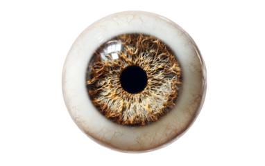 Expressive eye emoji character with patterned iris representing observation attention and vision isolated on transparent background PNG