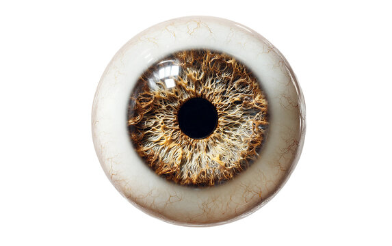 Expressive eye emoji character with patterned iris representing observation attention and vision isolated on transparent background PNG