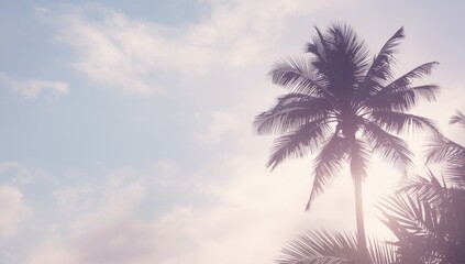Tropical palm tree silhouette with pastel-toned abstract backdrop, suitable for nature travel promotions, Summer Vacation