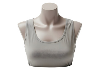Gray sleeveless crop top on mannequin torso isolated on transparent background
