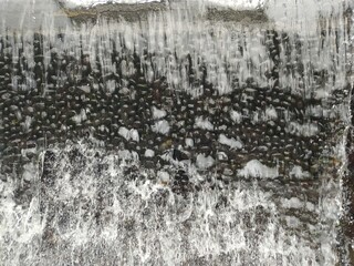 Close Up Cascade over Mossy Stone Wall Creating Dynamic Texture