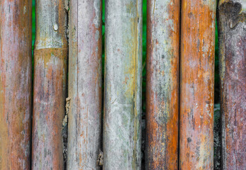 bamboo fence background, close up of  wood texture.