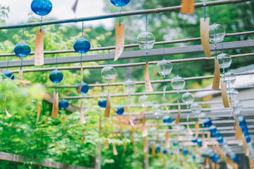 正寿院の美しい風鈴