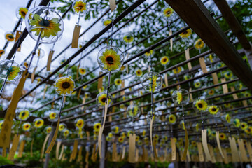 正寿院の美しい風鈴