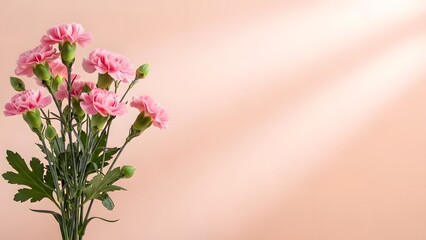 A bouquet of pink flowers against a soft peach background with natural light