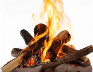 campfire flame against white background