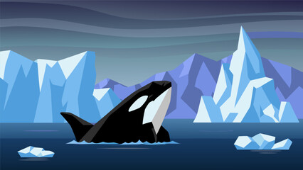 Vector illustration of a killer whale breaching in icy waters surrounded by glaciers and icebergs © PDWN Creative