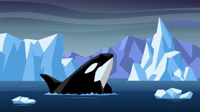 Vector illustration of a killer whale breaching in icy waters surrounded by glaciers and icebergs