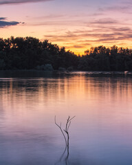 Serene Lake Sunset with Silhouetted Trees