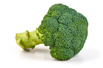 Broccoli floret, isolated on white background