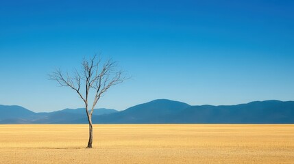 Fototapeta premium A single bare tree stands in a dry, open field with distant mountains under a clear blue sky.
