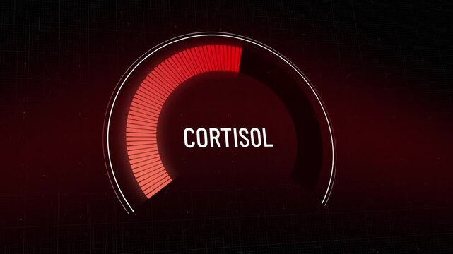 Red HUD display stress hormone metric lowering rapidly, high cortisol level indicator gauge dropping towards balance, urgent health recovery and successful anxiety management results, Copy space