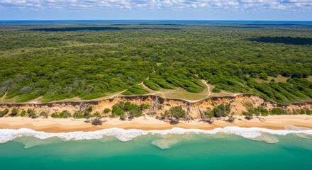 Aerial view of a pristine tropical beach with lush green jungle and turquoise ocean