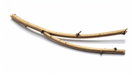 Obraz premium Two dry wooden branches, broken and curved, lying on a white surface, isolated.