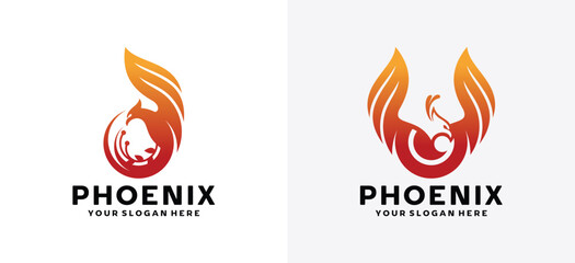 Phoenix Circle and Lens Concept